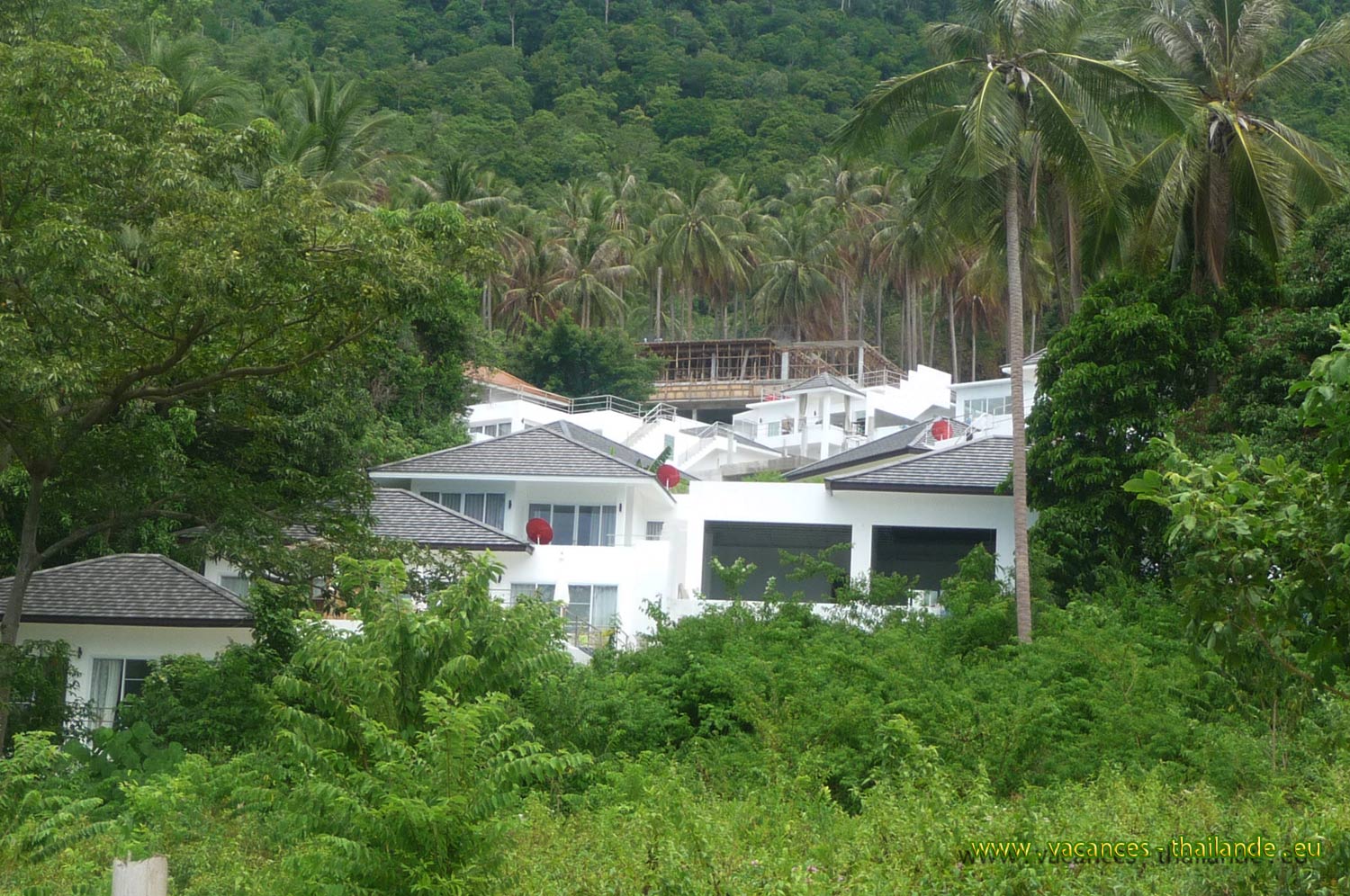 vacances-thailande, photo 22 la maison au milieu de la foret de cocotiers sur le flanc de la montagne à Koh Samui en Thaïlande,